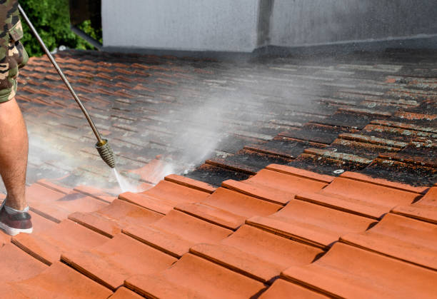 Best Pressure Washing Near Me  in Wamac, IN
