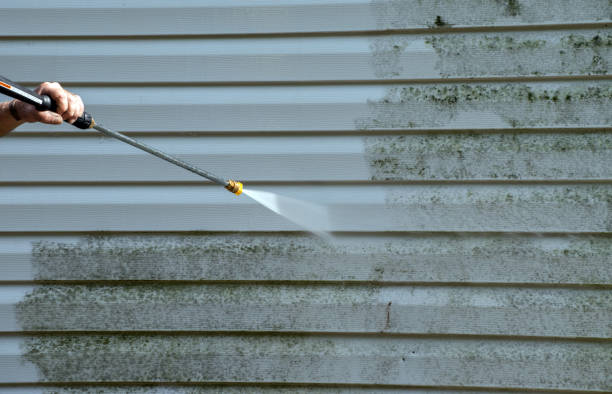 Best Affordable Pressure Washing  in Wamac, IN