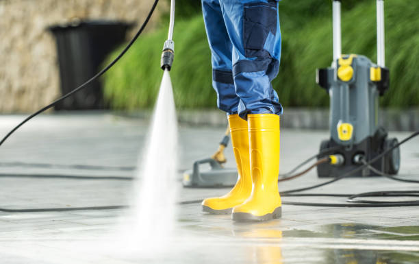 Best House Pressure Washing  in Wamac, IN