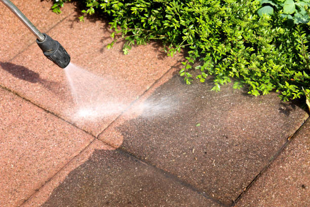 Best Power Washing Near Me  in Wamac, IN
